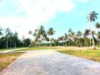 Land for Sale in Ja Ela Pamunugama