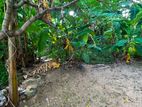 Land for Sale in Ja Ela (Ref 46)