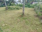 Land For Sale in Ja-Ela (SSPL-280)