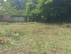 Land For Sale in Jaela