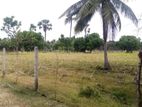 Land for Sale Jaffna