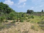 Land for Sale in Jaffna