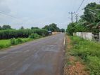 Land for Sale in Jaffna