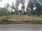 Land for sale in Jaffna.