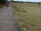 Land for Sale in Jaffna