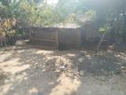 House with Land for Sale in Jaffna