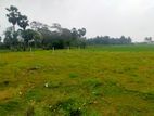 Land for Sale in Jaffna- Point Pedro Road