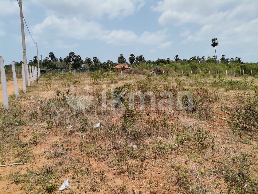Land for Sale in Jaffna Thellipalai kovilpattu Veemamkamam ikman