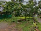 Land for Sale in Jawatte