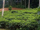 Land for Sale in Kabagamuva