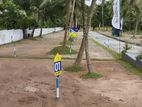 Land for Sale in Kadawata