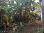 Land for Sale in Kadawatha 10 P