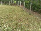 Land for Sale in Kadawatha 11.78 P