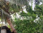 Land for Sale in Kadawatha - 14 Perches ✴️