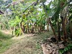 Land for Sale in Kadawatha 16.25 P