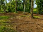Land for sale in kadawatha / CH 13953