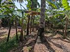Land for sale in kadawatha / CH 15243