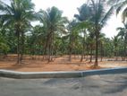 Land for Sale in Kadawatha Delgoda Road