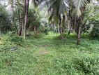 Land for Sale in Kadawatha