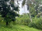 Land for Sale in kadawatha