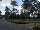 Land for Sale In Kadawatha