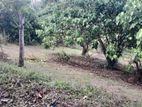 Land for Sale in Kadawatha