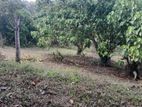 Land for sale in Kadawatha