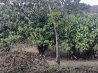 Land for Sale in Kadawatha