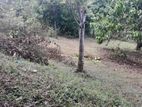 Land for Sale in Kadawatha