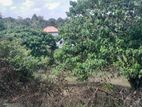 Land for Sale in Kadawatha