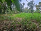 Land for Sale in Kadawatha