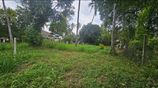 Land for Sale in Kadawatha