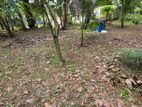 Land for Sale in Kadawatha