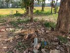 Land for Sale in Kadawatha