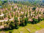 Land for Sale in Kadawatha