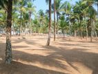Land for Sale in Kadawatha