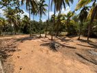 Land for Sale in Kadawatha