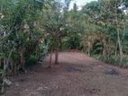 Land for Sale in Kadawatha