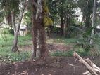 Land For Sale in Kadawatha