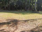 Land for sale in kadawatha