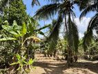 Land for Sale in Kadawatha