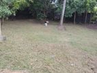 Land for Sale in Kadawatha