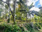 Land For Sale in Kadawatha