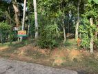 Land for Sale in Kadawatha- Ganemulla (Walipillewa)
