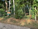 Land for Sale in Kadawatha- Ganemulla (Walipillewa)