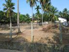 Land For Sale in Kadawatha - High Residential Neighborhood