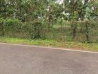 Land for Sale in Kadawatha Kirillawala