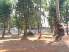 Land for Sale in Kadawatha Webada Road Idigahamula
