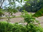 Land for Sale in Kadawatha Weboda - 4 Km to Highiway Entrance
