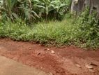 Land for Sale in Kadawatha Weboda